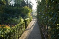 Concrete path through vegetable and herb garden with decorative wooden gate in summer. Espaliered Malus - Apple, Calendula officinalis 'Radio', Dahlias and Buxus - Box hedging 