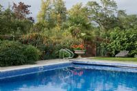 Swimming pool surrouned by colourful planting of Tithonia rotundifolia 'Torch' and Verbena bonariensis. Pelargonium - Geranium in pot