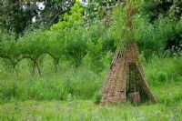 Woven willow tepee with tree trunk seat, in front of living Willow arched hurdles