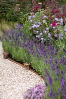Shell pathway, Lavandula and Campanula flowerbed - It's Only Natural, RHS Hampton Court 2010