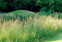 Grass turf mound and wild grasses - Weir House, Hants