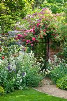 Pathway leading through perennials to a rose-covered brick wall with iron gate and brick wall with climbing Rosa 'Chevy Chase',  'Kiftsgate' - rambling Roses and R. 'Rosarium Uetersen' and  'Veilchenblau'. Catalpa bignonioides, Centranthus ruber 'Albus' and Salvia nemorosa in borders