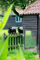 Curious Gotland sheep. House inspired by the dutch hunting lodge of palace Het Loo - The garden of sculptor Mieke Holt at Wieringen, Holland

