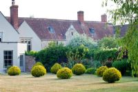 Rosalie Fiennes garden in Somerset with topiary yew balls