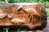Felled Oak carved with seats and scenes of birds, fish and animals by chainsaw sculptor Matthew Crabb. Abbotsbury Subtropical Gardens, Dorset, UK