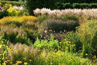 The Square Garden with Miscanthus, Coreopsis, Dahlias and Rudbeckias - RHS Garden Rosemoor, Great Torrington, Devon, UK