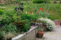 Anthemis punctata 'Cupaniana' - June Blake's garden and nursery Co. Wicklow, Ireland 
