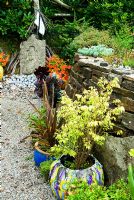 Stone wall planted with Sedums and Alpines and decorated with small figurines and statuettes for the benefit of younger visitors, with containers on the ground below planted with succulents including Aeonium 'Zwartkop' and shrubs such as Phormiums and Euonymus alatus 'Compactus'. Pinsla Garden, Cardinham, Cornwall, UK