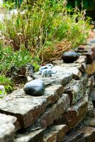 Stone wall planted with Sedums and alpines and decorated with small figurines and statuettes for the benefit of younger visitors - Pinsla Garden, Cardinham, Cornwall