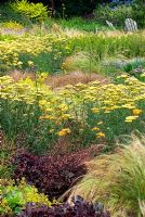 Achillea Terracotta, Heuchera, Stipa tenuissima, Carex comans, Ligularia dentata, Heuchera sanguinea and Carex buchananni - Dennis Schrader and Bill Smith's Garden, USA