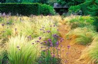 Path flanked by mass plantings of Stipa tenuissima - Spear Grass, Verbena bonariensis and Imperata cylindrica rubra - Japanese Blood Grass. Dennis Schrader and Bill Smith's Garden, Long Island, New York, USA, July, summer.