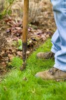 Redefining a lawn edge using a half moon shaped cutter. Also known as half-moon iron