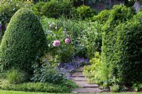 A flagstone pathway leading through box and yew topiary underplanted with Alchemilla mollis, Buxus, Campanula portenschlagiana, Paeonia and Taxus 