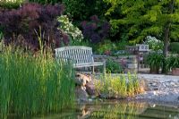 Natural swimming pool, wooden bench near a dry stone wall and planting of Rosa 'de Féligonde', Agapanthus, Centranthus ruber 'Coccineus', Cotinus coggygria 'Royal Purple', Gleditsia triacanthos 'Sunburst', Ranunculus lingua and Scirpus 