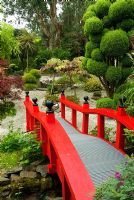 Cloud pruned conifers frame a bright red Nikko bridge in the Japanese garden. The Croft, Yarnscombe, Devon, UK