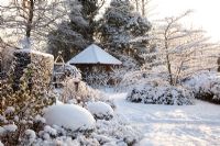 Taxus, Buxus, Lavandula, Rosa and Cornus controversa 'Variegata' - Winter Garden and Nursery
