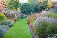 Formal grass pathway through mixed autumn border including Miscanthus, Sedum, Aster - The Long Walk garden, Knoll Gardens, Dorset
