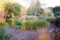 The Mill End Border including Molinia 'Skyracer' and Panicum shenandoah - Knoll Gardens, Dorset