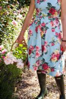 Woman in floral dress holding a wooden trug of roses 