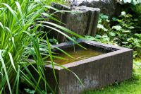 A small water trough and Fragaria vesca - The Manor House, Germany