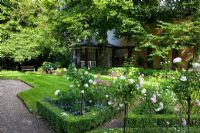 View across lawn and box edged borders of roses trained as standards, pavilion under a beech tree. Planting includes Rosa 'Glamis Castle', 'John Clare' and Campanula poscharskyana - The Manor House, Germany