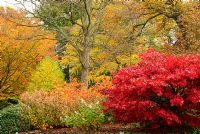 Battleston Hill - RHS Garden Wisley, Woking, Surrey, UK