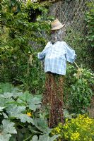 Scarecrow in vegetable garden