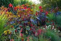 Hot border at Weihenstephan Gardens containing Dahlia 'Bishop of Landlaff' , Canna indica, Miscanthus sinensis, Pennisetum villosum, Penstemon, Ricinus communis 'Carmencita Red'and Zinnias