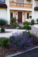 Front garden with Lavandula and topiarized shrubs