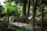 Wooden footbridge with Gunnera manicata and stems of Cupressocyparis leylandii