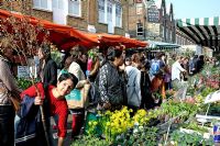 Columbia Road Flower Market with people looking at a plant stall and lady in forground holding small tree, Tower Hamlets London UK