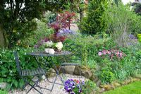 Seating area with gravel in Spring garden with Rhododendron yakushimanum 'Nicoletta', Acer palmatum 'Atropurpurea', Rhododendron russatum 'Azurwolke' and Symphytum grandiflorum 'Blaue Glocken'