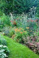 Hemerocallis 'Little Joy', Crocosmia 'Lucifer', Pennisetum setaceum 'Rubrum', Heuchera micrantha 'Rachel', Foeniculum vulgare 'Atropurpureum'