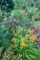 Hemerocallis 'Little Joy', Crocosmia 'Lucifer', Berberis  thunbergii 'Atropurpureum', Pennisetum setaceum 'Rubrum', Heuchera micrantha 'Rachel', Dahlia 'Bishop of Llandoff', Foeniculum vulgare 'Atropurpureum', Atriplex hortensis