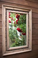 Garden reflection in mirror