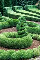 Tightly clipped swirls of Buxus - Box in the Parterre Garden. Bourton House, Bourton-on-the-Hill, Moreton-in-Marsh, Glos, UK
