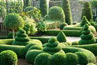 Clipped Buxus - Box and Taxus - Yew in the Parterre Garden
 with standard Laurel and gazebo by Richard Overs. Bourton House, Bourton-on-the-Hill, Moreton-in-Marsh, Glos, UK