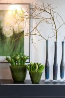 Blue glass vases with Cornus stolonifera 'Flamiravea' branches against the solid and widened green vases with white Hyacinths and Tulips. Picture painted by Friedhelm Raffel behind - Wintergarten, Germany