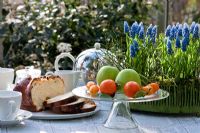 Al fresco breakfast with a glass cake stand with fruit, brioche loaf and tea in a silver pot. An arrangement with blue Muscari -Grape Hyacinths adds colour to the scene - Wintergarten, Germany