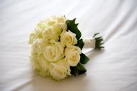 Bouquet of white or cream roses
