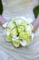 Bride holding a wedding bouquet of white  Roses and Lilies