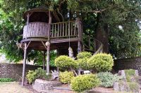 Tree house built in Yew tree - Tilford Cottage, Surrey