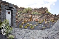 The restrooms, built into the landscape, surrounded by Ferocactus - El Jardin de Cactus, Lanzarote, Canary Islands