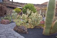 El Jardin de Cactus, Lanzarote, Canary Islands