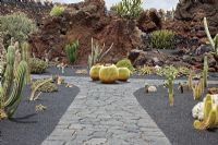 El Jardin de Cactus, Lanzarote, Canary Islands