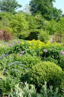 Alllium, Centaurea, Euphorbia and Buxus in spring border - Festival International des Jardins, Chaumont-sur-Loire, France