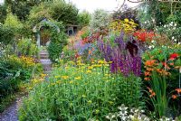 Sunken garden planting includes a riot of colourful perennials such as Rudbeckia, Lobelias, Salvia confertiflora, Eryngiums, Crocosmia and Achillea. Poppy Cottage Garden, Roseland Peninsula, Cornwall, UK