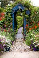 Wooden archway surrounded by a mass of colourful, flowering plants including Crocosmias, Salvia leucantha, Helichrysum and Clematis. Poppy Cottage Garden, Roseland Peninsula, Cornwall, UK