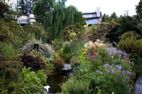 Ligularia dentata 'Britt Marie Crawford',  Dicentra formosa 'Langtrees', Pulmonaria 'Majeste', Potentilla rupestris in bud, Astelia, Thalictrum, mixed ferns, Geranium pratense, Geranium pratense 'Album', Aruncus and Weeping Willow growing alongside stream