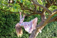 Young girl climbing Apple tree